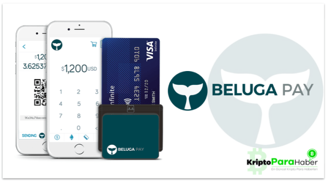 Image result for belugapay ico