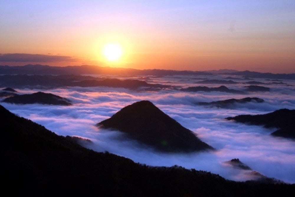 A view of the Miyazu region’s Mt. Oe during July feels like heaven