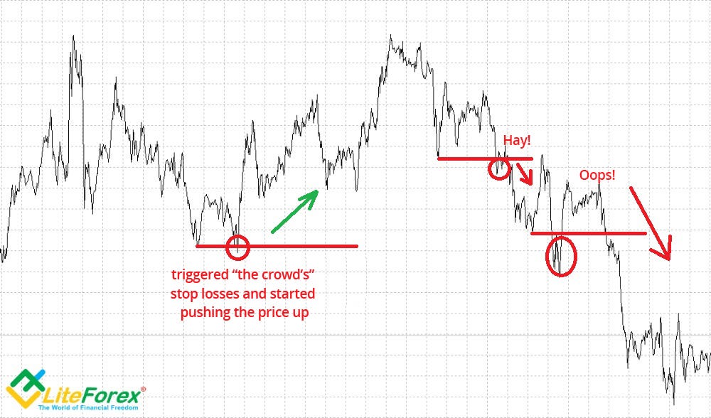 Big Games The Wolf Of Wall Street Liteforex Traders Blog Www - 