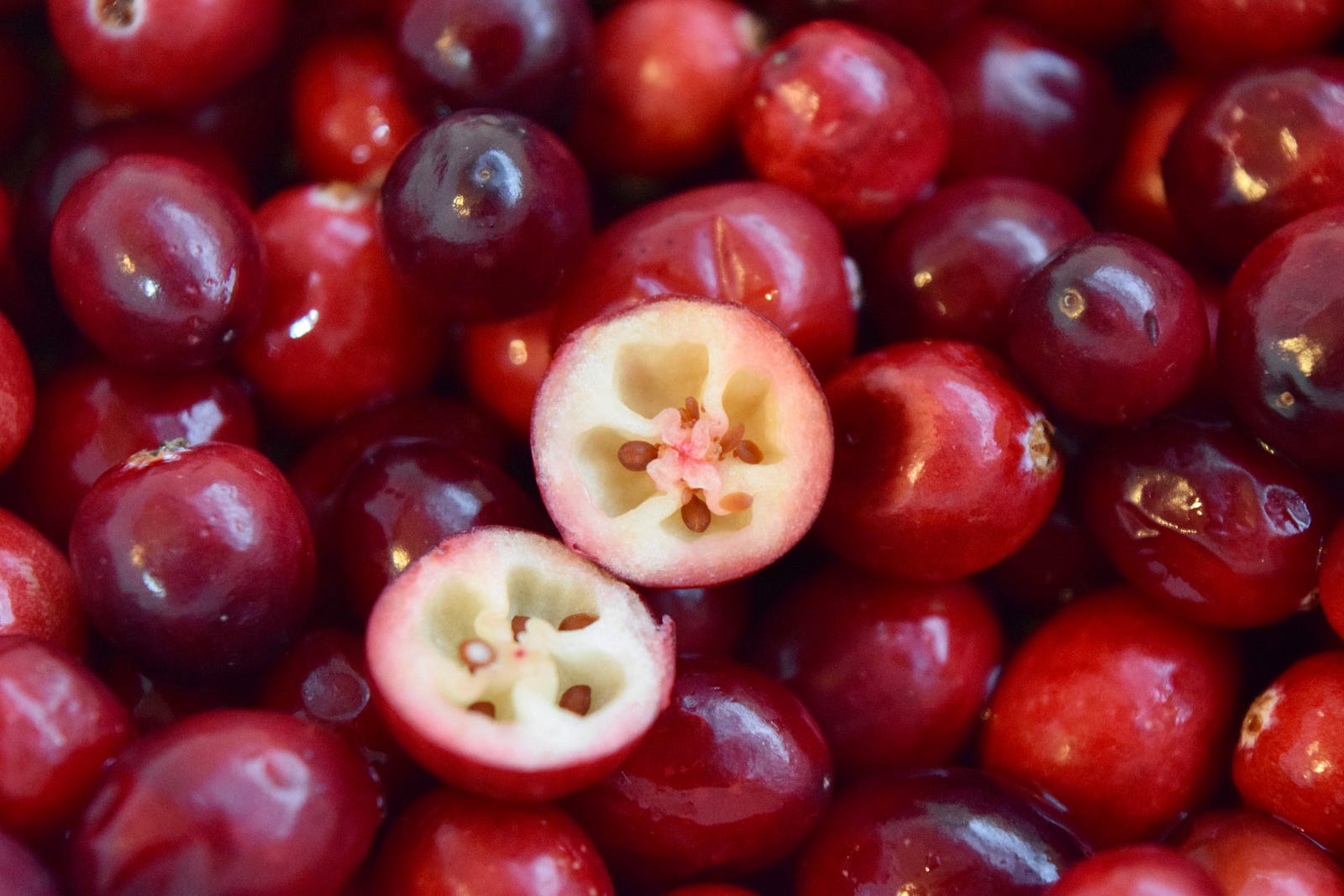 A close-up image of a bunch of cranberries. One cranberry sits on top of the others, split in two (with its innards facing us).
