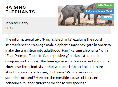 CommonLit reading lesson "Raising Elephants" introduction. 