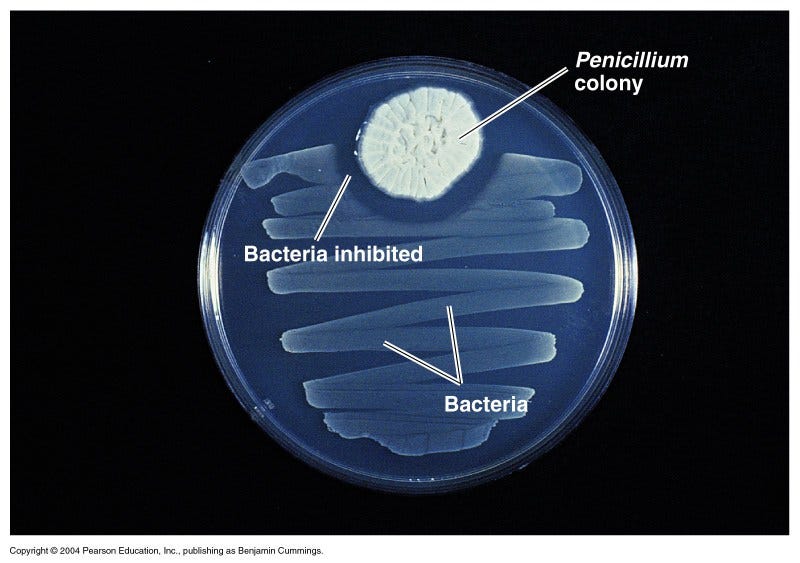 #Module10 #EID100: Technological breakthrough — Penicillin