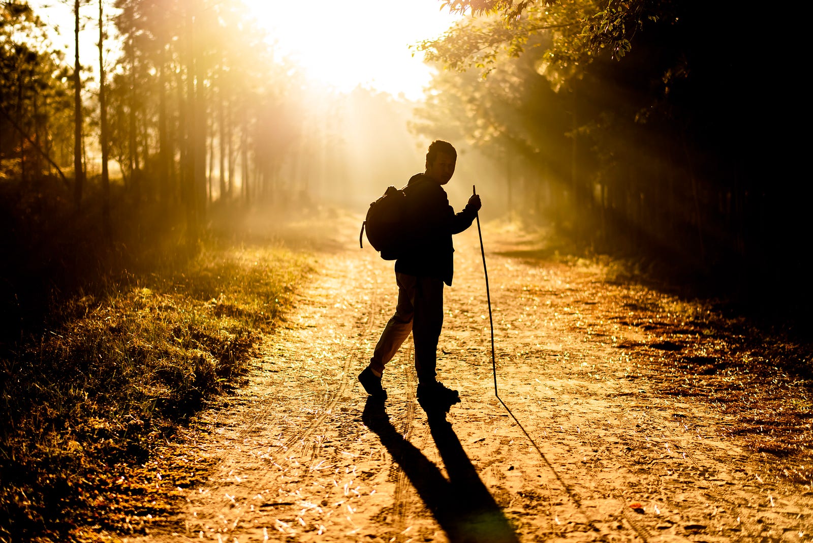 Sepia image of a hiker in silhouette walking on a path with a backpack and a long stick in his right hand. We walks left to right across the path. Walking just twice weekly has nearly the same benefits as walking the same amount of five days.
