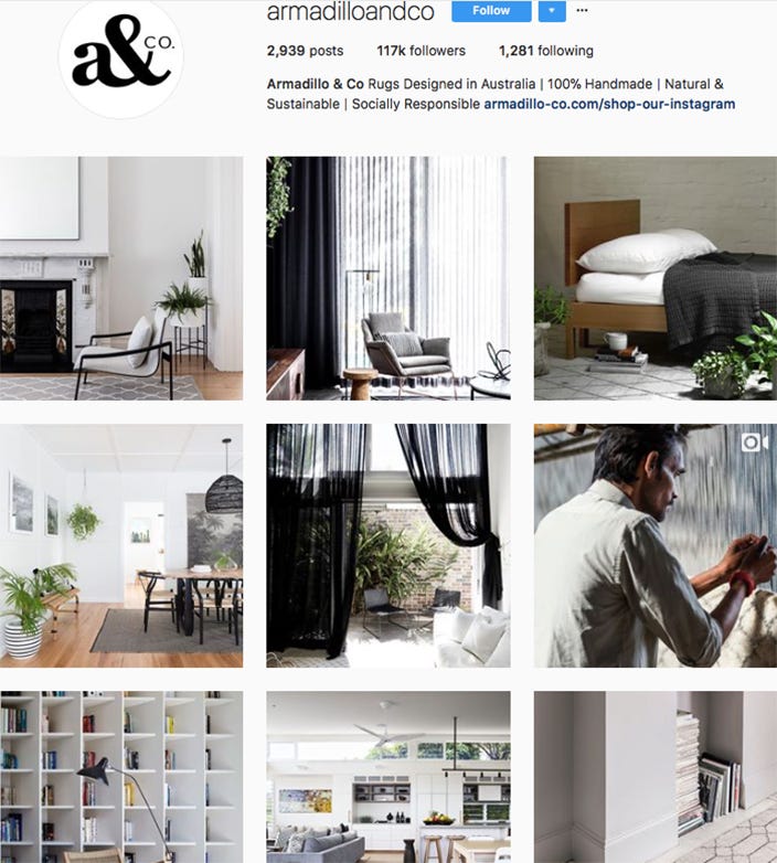 armadilloandco - australian instagram accounts to follow