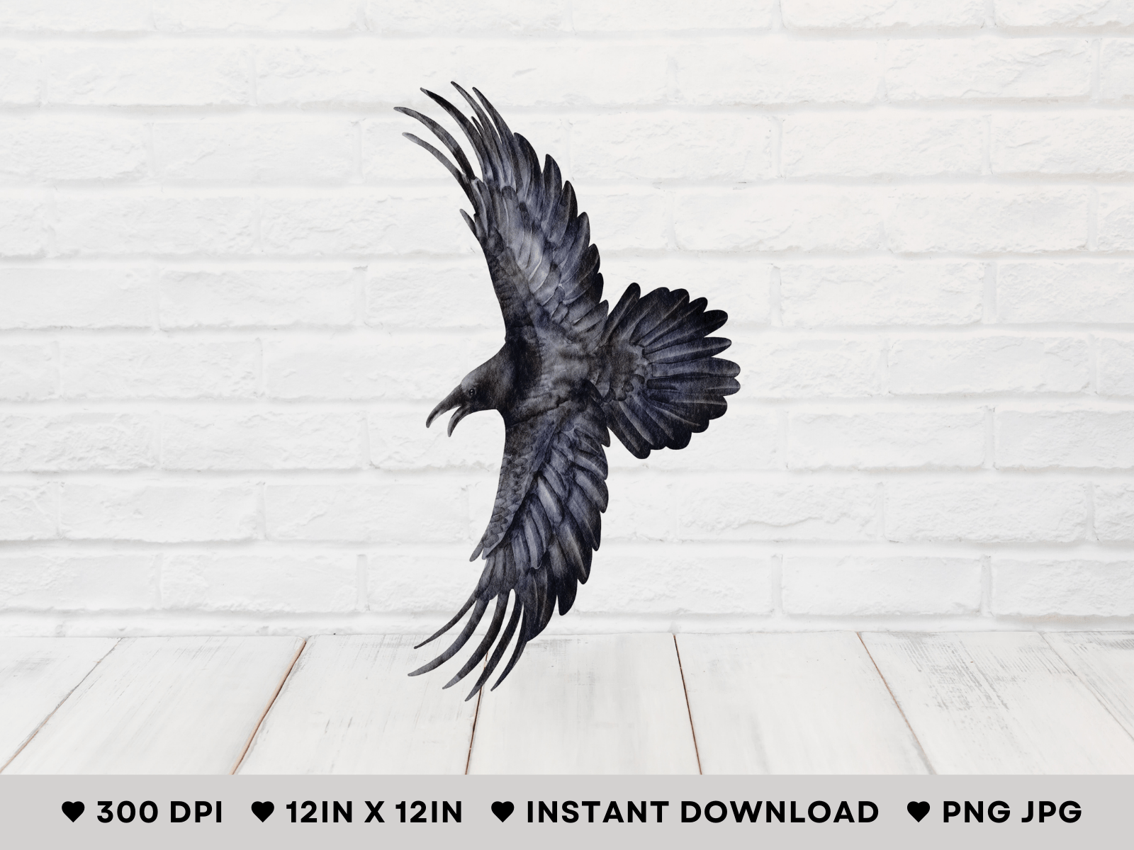 Flying Crow Watercolor Illustration Free