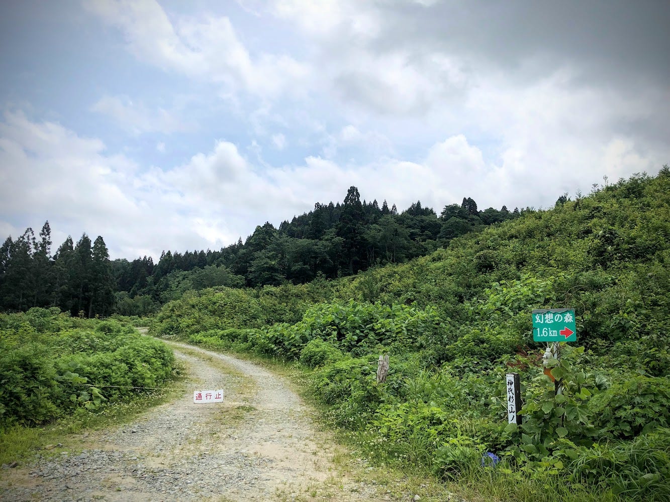 A gravel road with a pine forest in the distance, the Tsuchiyu-yama trailhead.