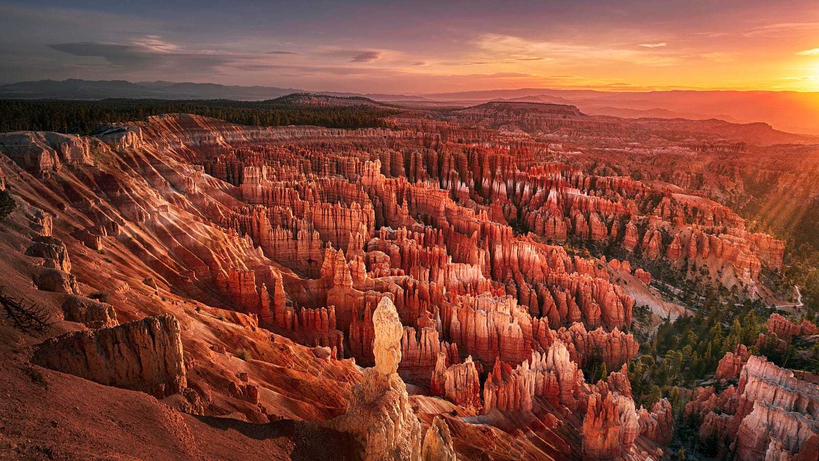 Morning sunlight over the amphitheater at Bryce Canyon National Park, Utah