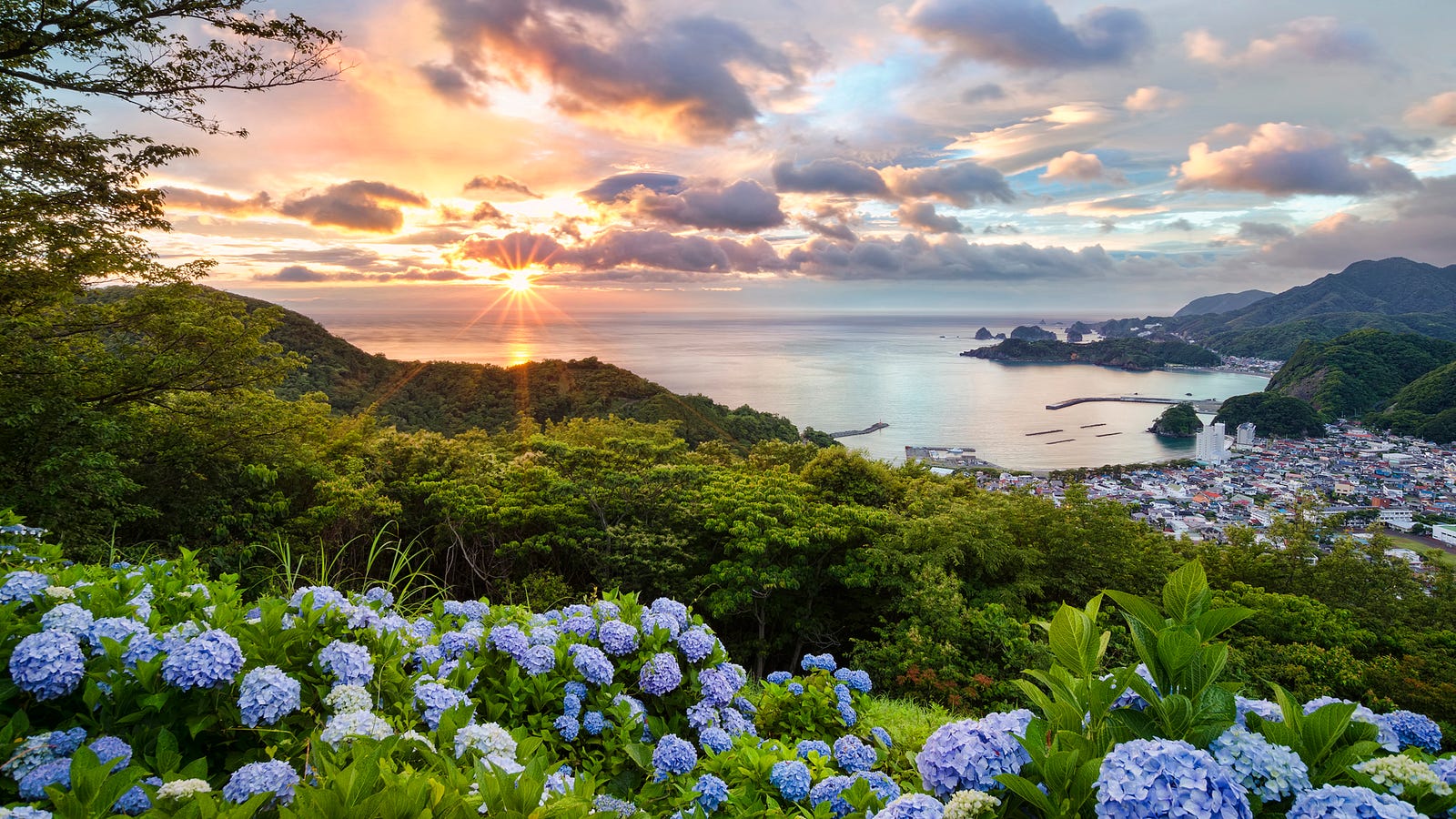 Sunset at Hydrangea Hills, Shizuoka Prefecture, Japan