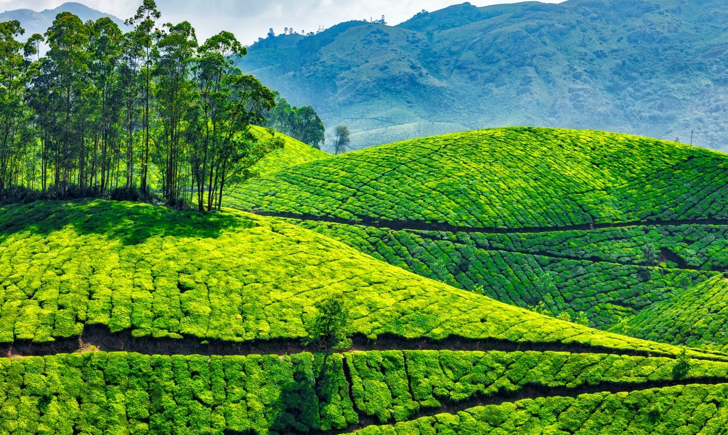 Best destinations in Kerala to visit – Digital Nomad – Medium