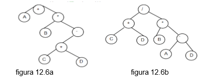 Capítulo 12: TEORIA DE ARBOLES BINARIOS – Matematicas Discretas – Medium