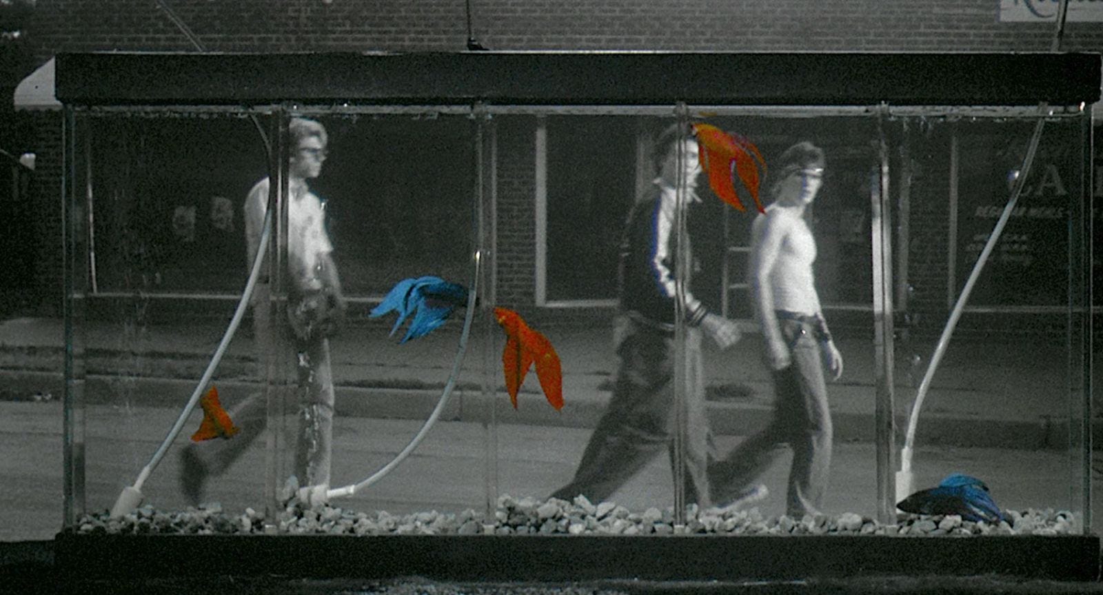 Criterion’s RUMBLE FISH is a Great Reminder of the Genius ...