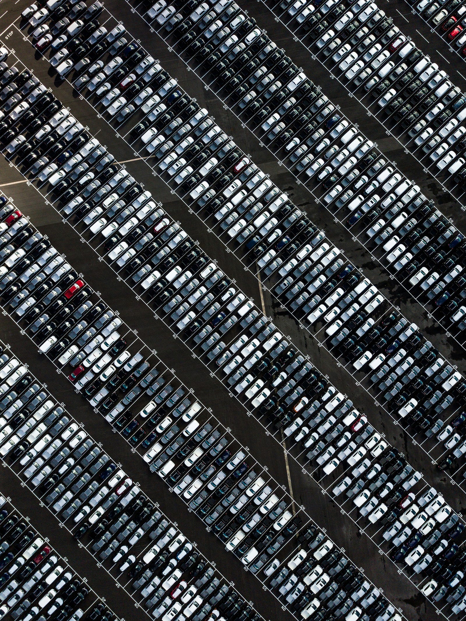 Rows of cars on a highway, representing carbon emissions that vultures help prevent by consuming carcasses and reducing CO2 release.