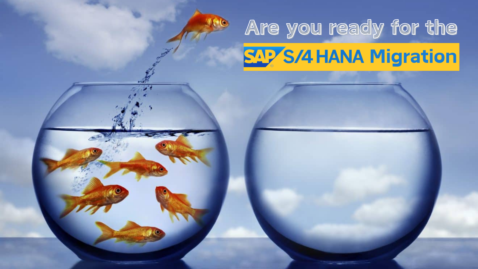 Is Your Business Ready for SAP S/4HANA Migration? Key Factors to Consider