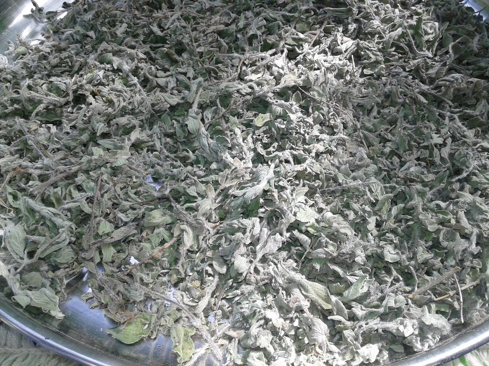 Syrian Thyme A Daily Bread Companion Ibrahim Alalou Medium