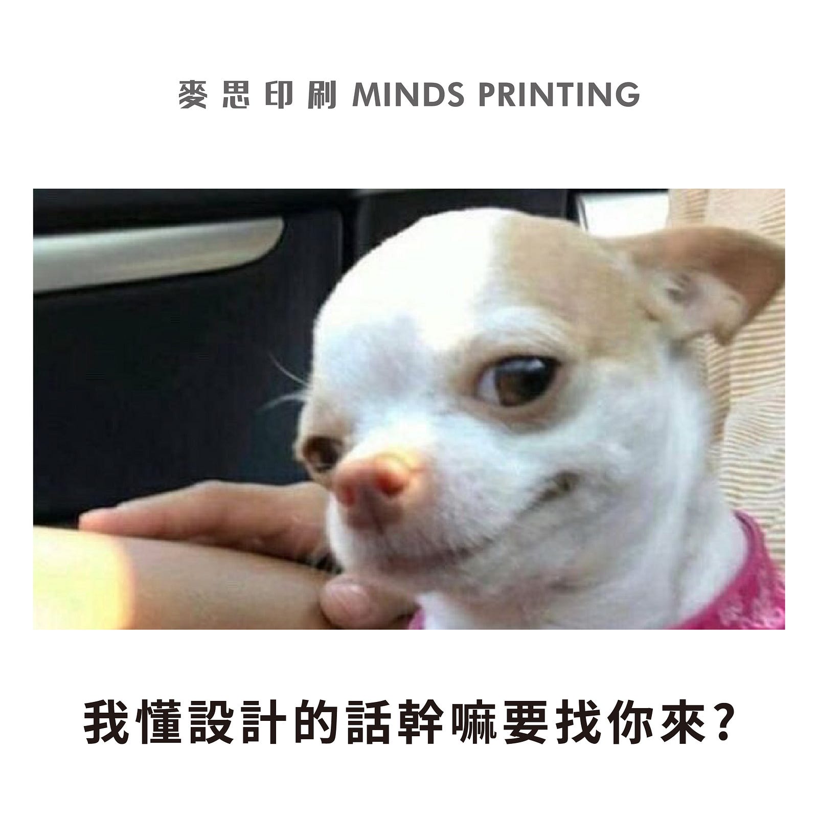 惹怒設計師