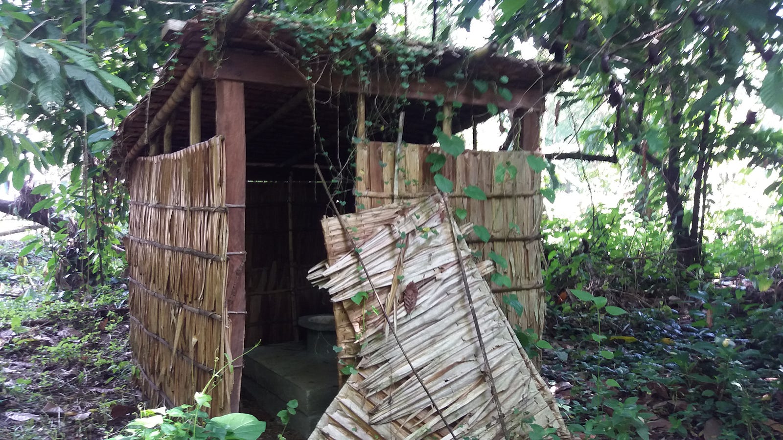 Giving Kids In the Solomon Islands The Healthy Start They Deserve