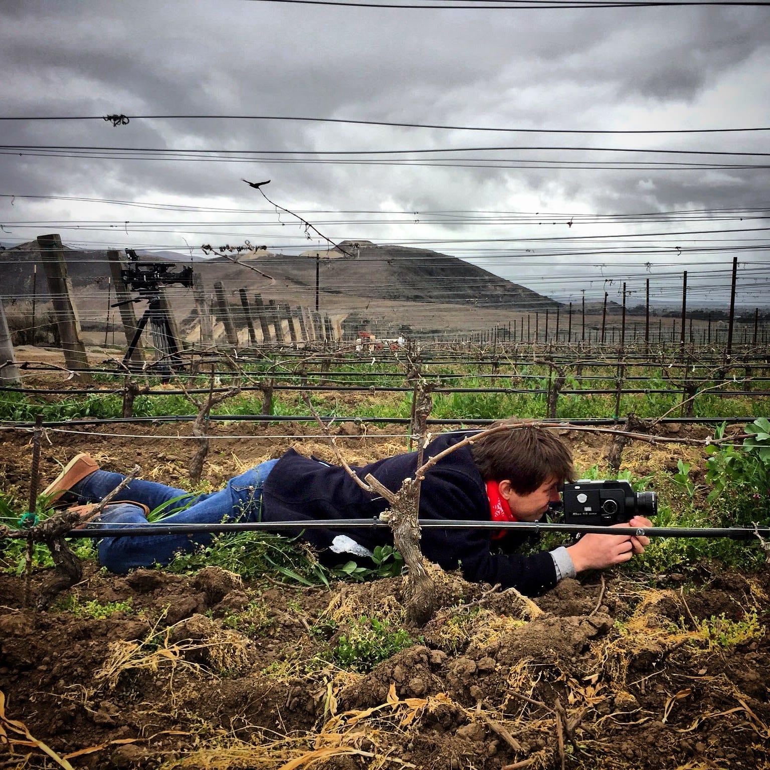 Jason Wise on the world of wine