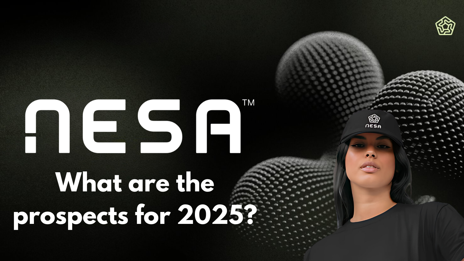 Nesa : What are the prospects for 2025?