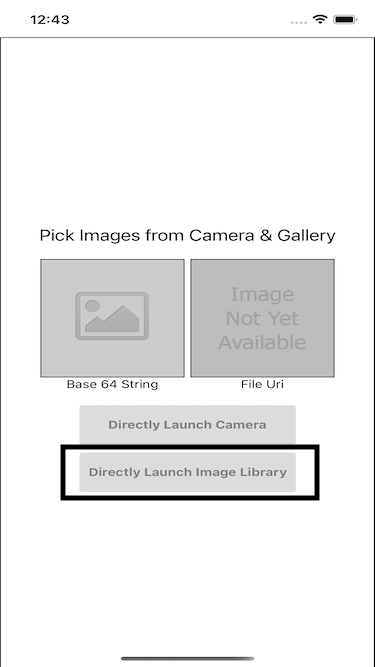 Click On Launch Image Library