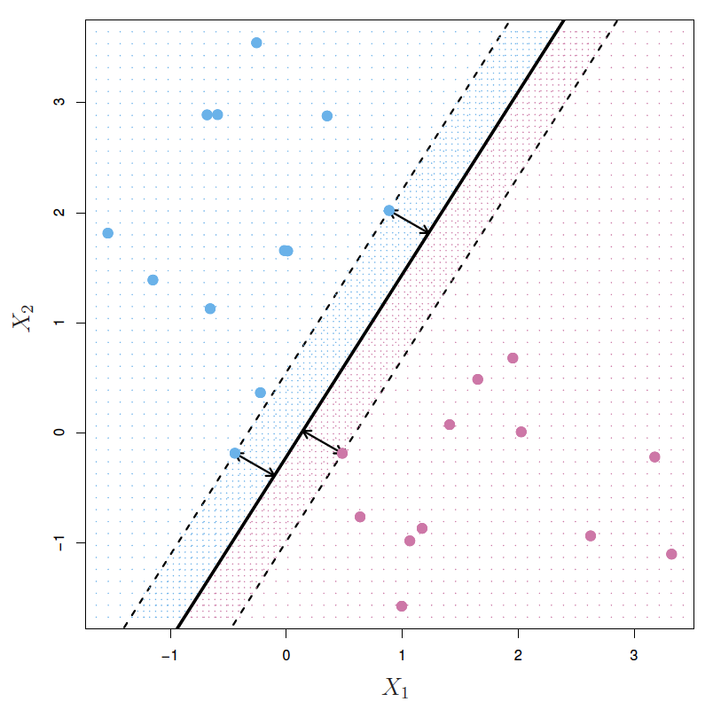 Support Vectors