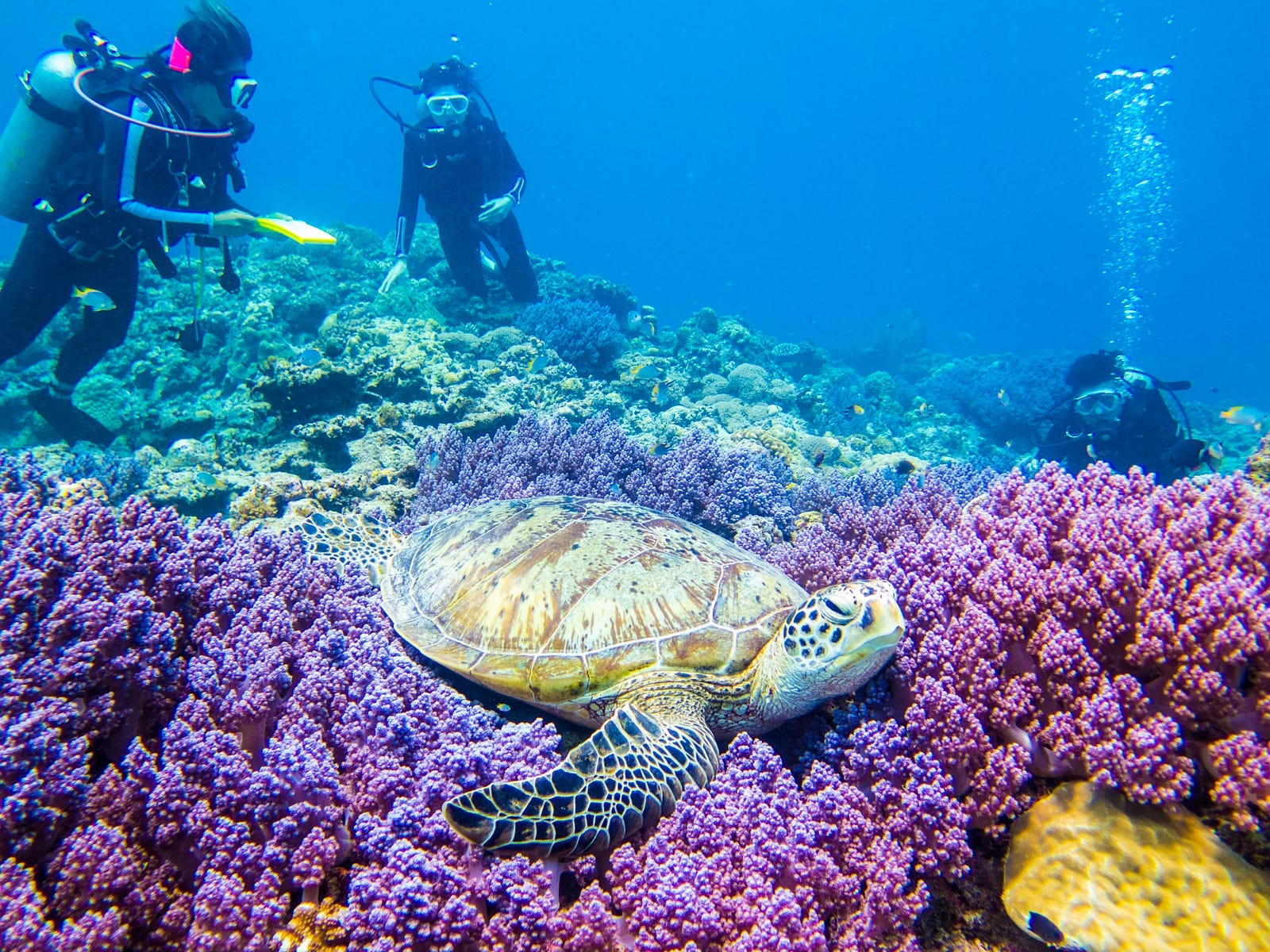 20 Top Things to Do in Okinawa Okinawa Bucket List 2019