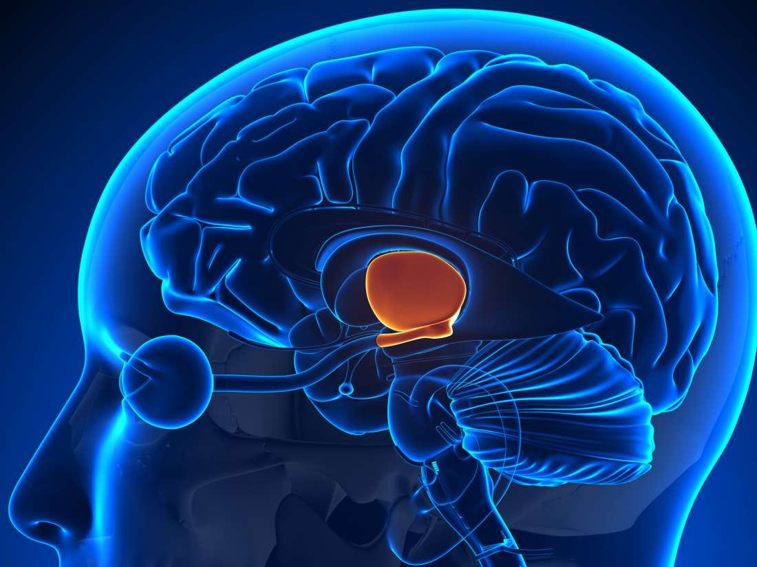 On Cannabis Hyperemesis The Disorder Caused By Chronic Marijuana Use