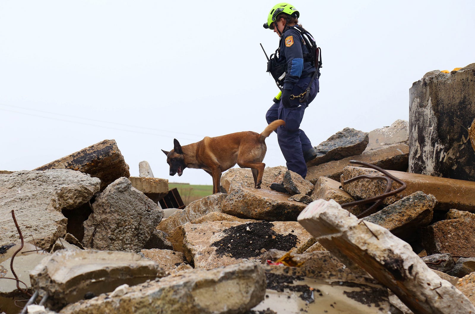 Loki, a Border Colli, finds a survivor stuck in a concrete pipe. Right: Ivan, a Belgian Malinois searches the top of a rubble pile for survivors. Photo credit: Emily Rasinski, USAID/OFDA