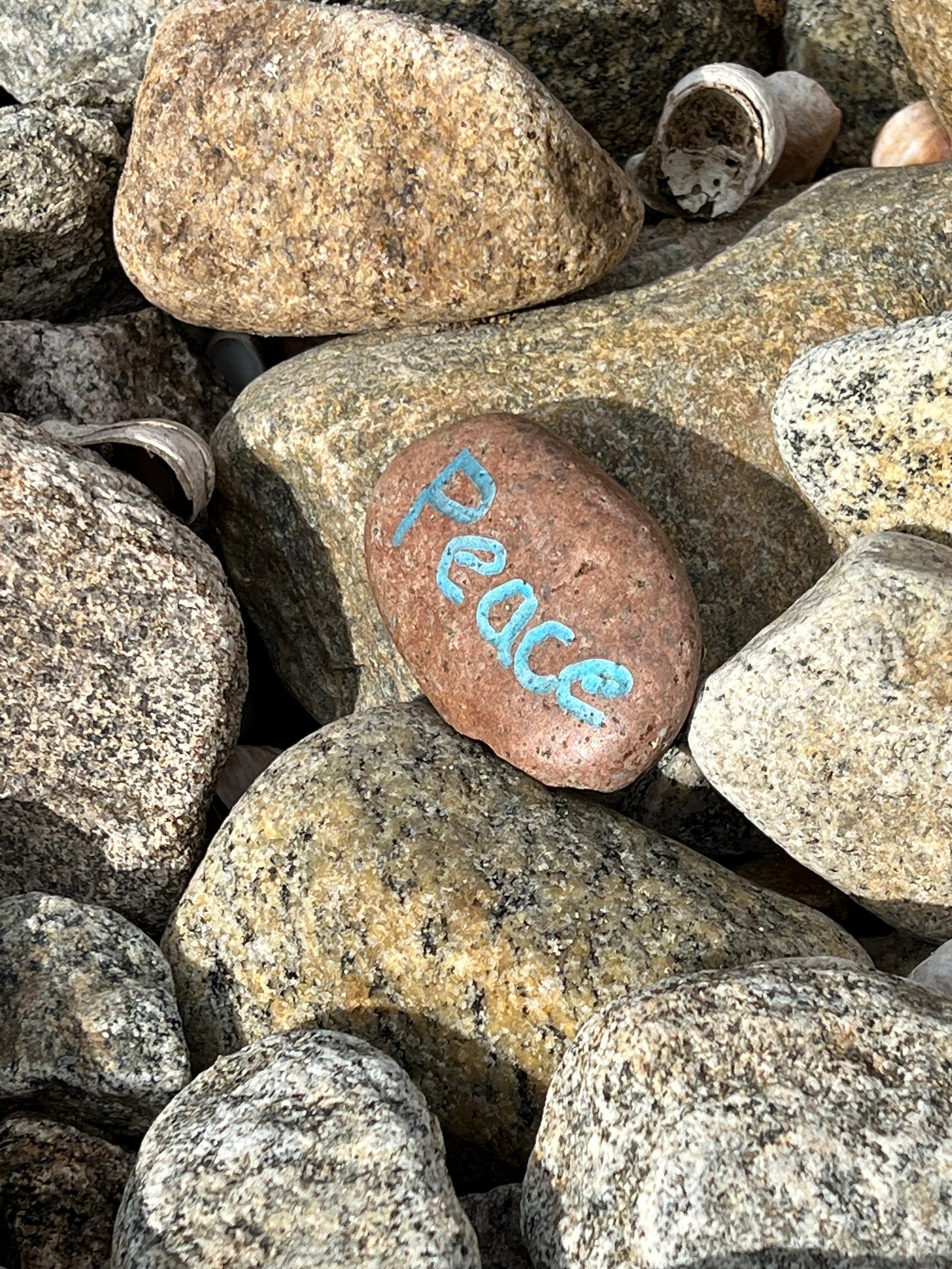 Photo of a palm sized stone worn smooth by the ocean and painted with the word 