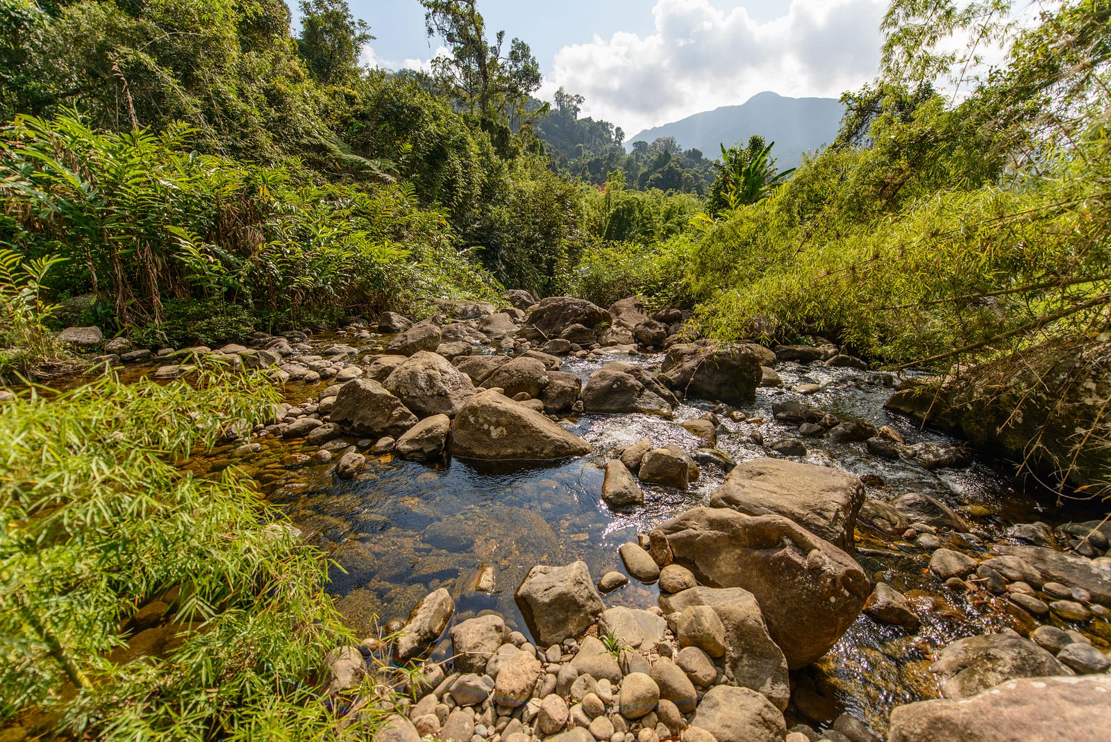 Madagascar Stream Madagascar Stream