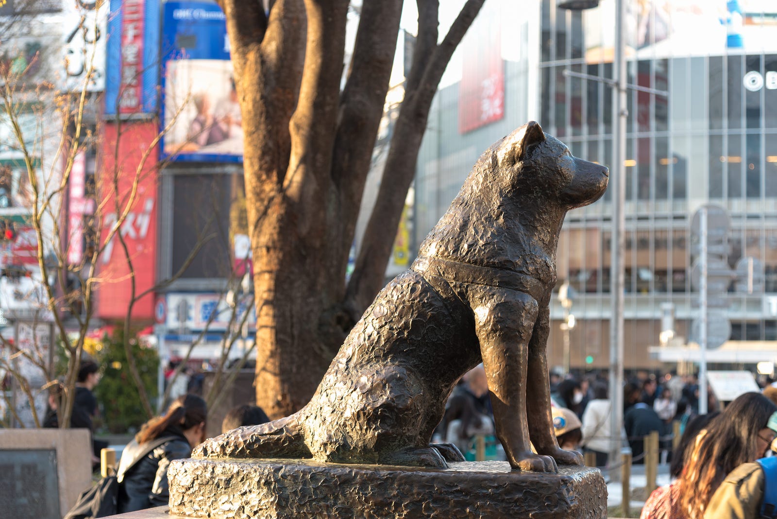 hachiko stuffed