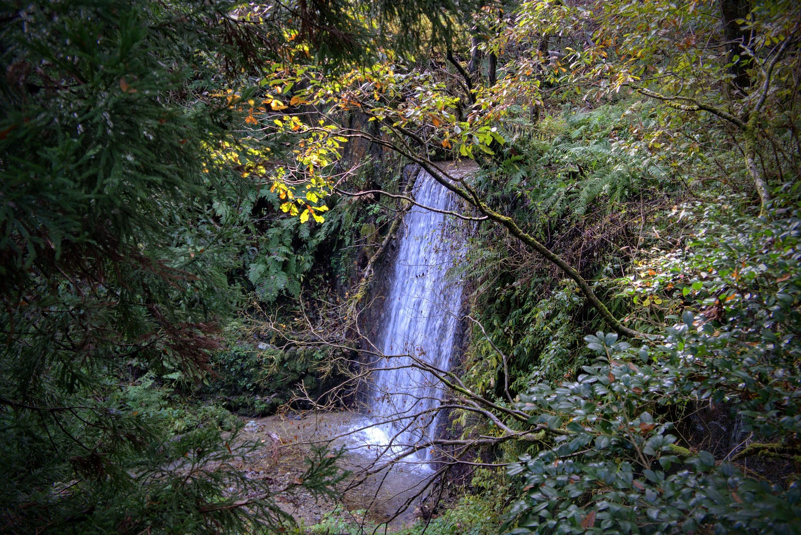 A straight waterfall surrounded by autumn foliage on Mt. Hokari, one of the 100 Famous Mountains of Yamagata