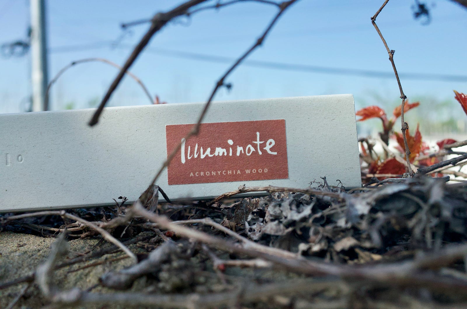 INCENZO’s Illuminate — Acronychia wood incense stick