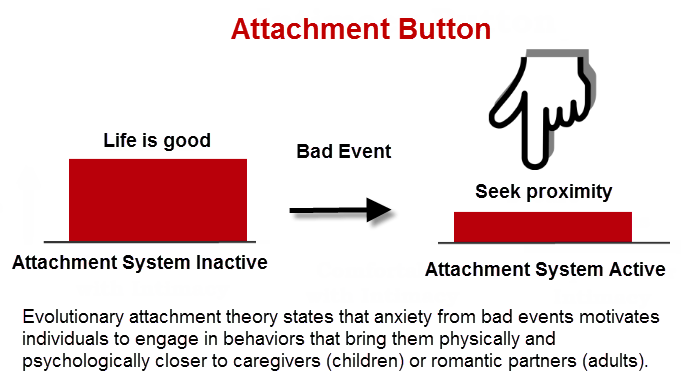 The Attachment Of Attachment Behavioral Systems