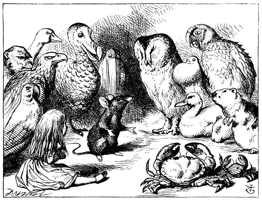 Sir John Tenniel’s Classic Illustrations of Alice’s Adventures in ...