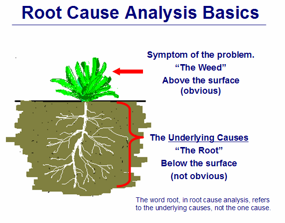 Significance Of Root Cause Analysis Training Fadi E Rahal Medium