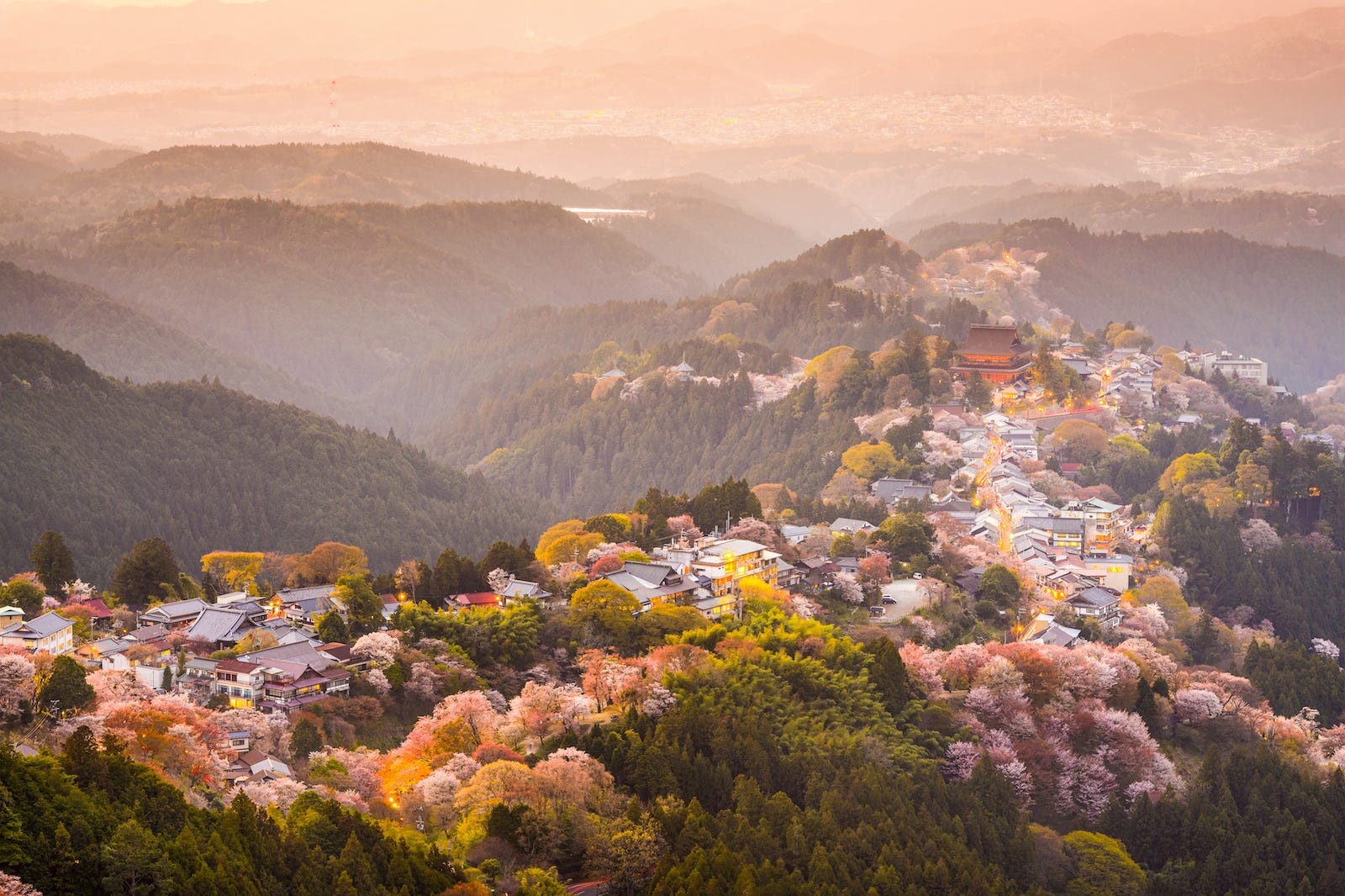 Gorgeous Mt. Yoshino – A Different Side of Japan