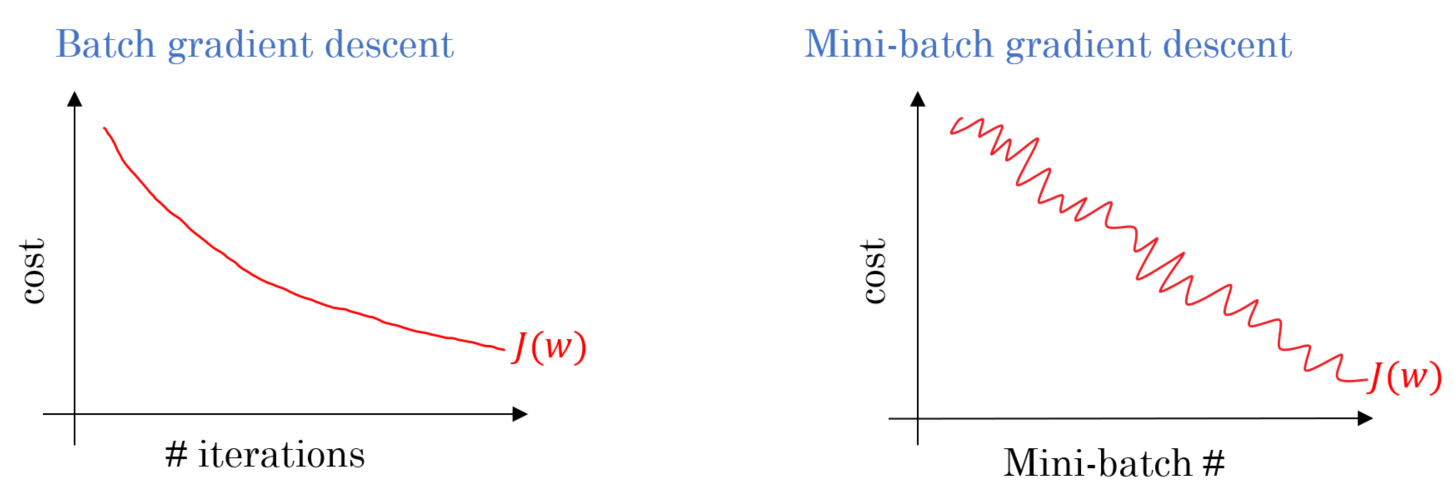 batch gradient descent