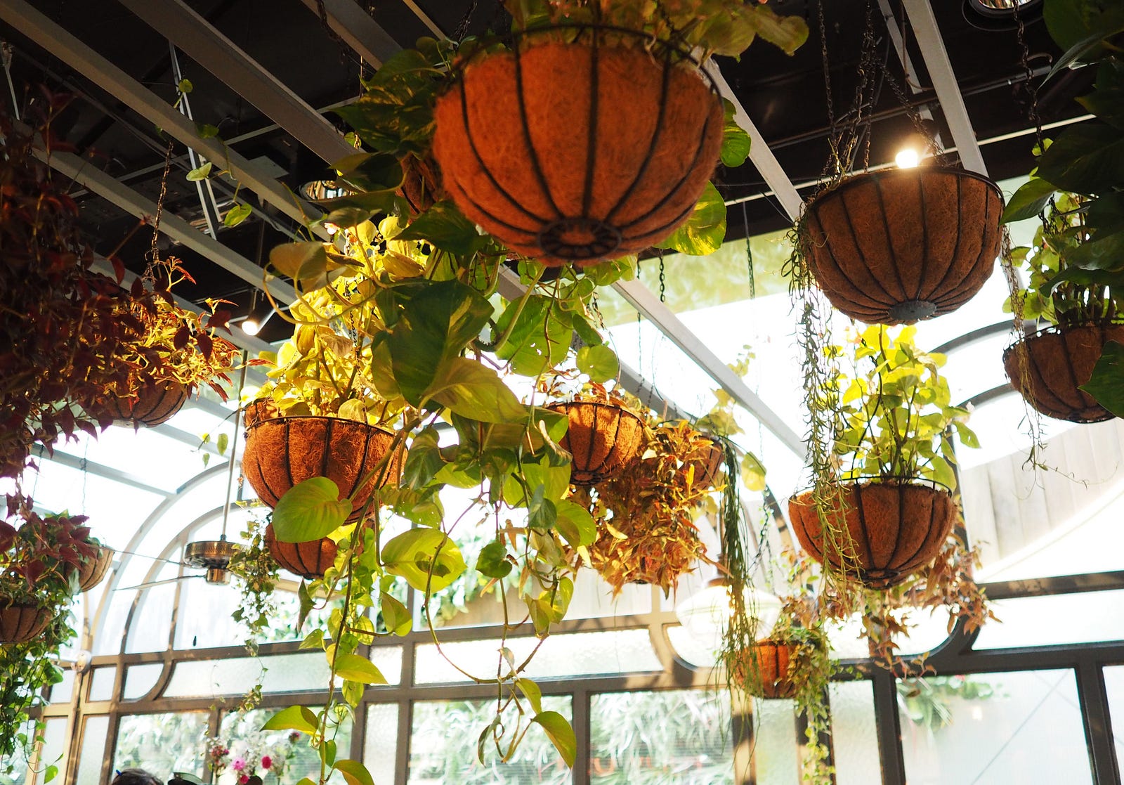 Flower Child Cafe, Chatswood Drool Worthy World Medium