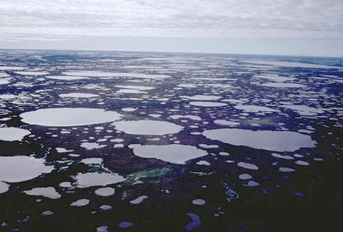 Resultado de imagen para hudson bay lowlands permafrost