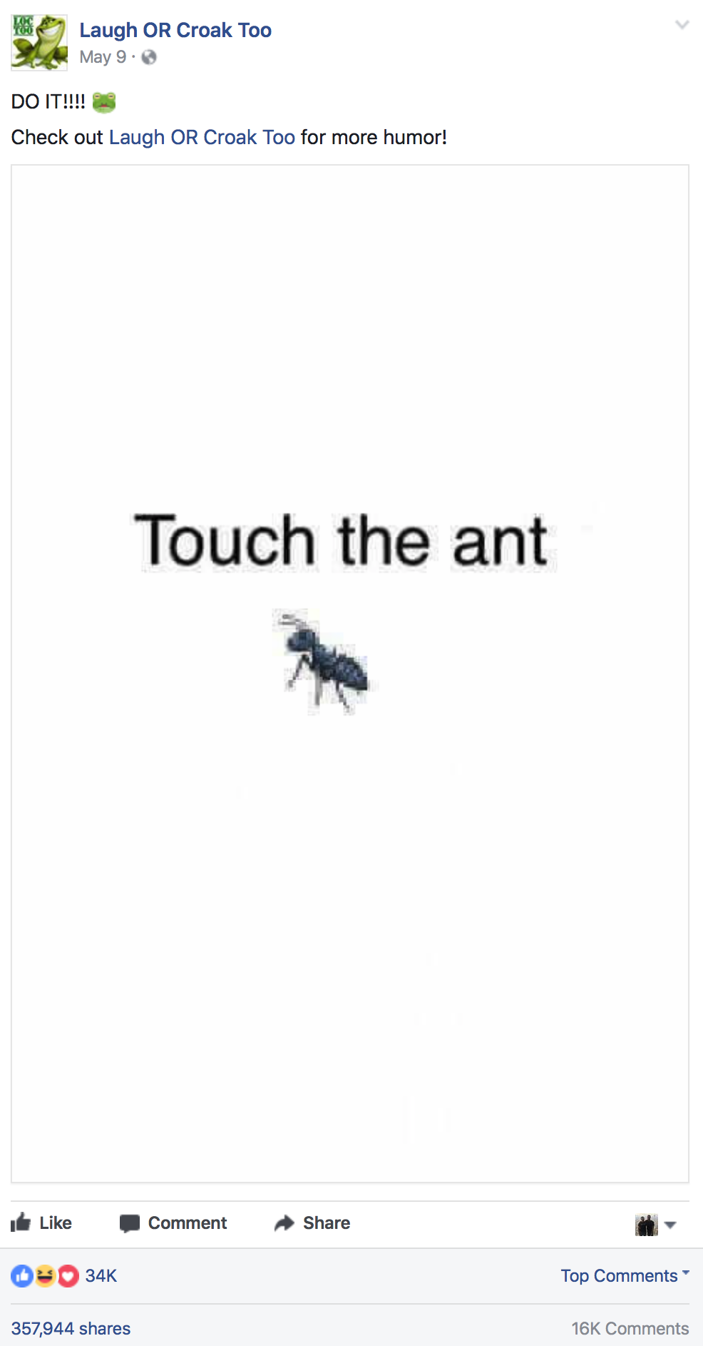 How TheTouch The Ant Meme Became A New Facebook Art Form