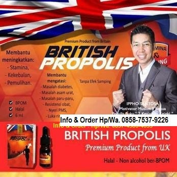 Distributor Propolis Di Makassar Distributor British
