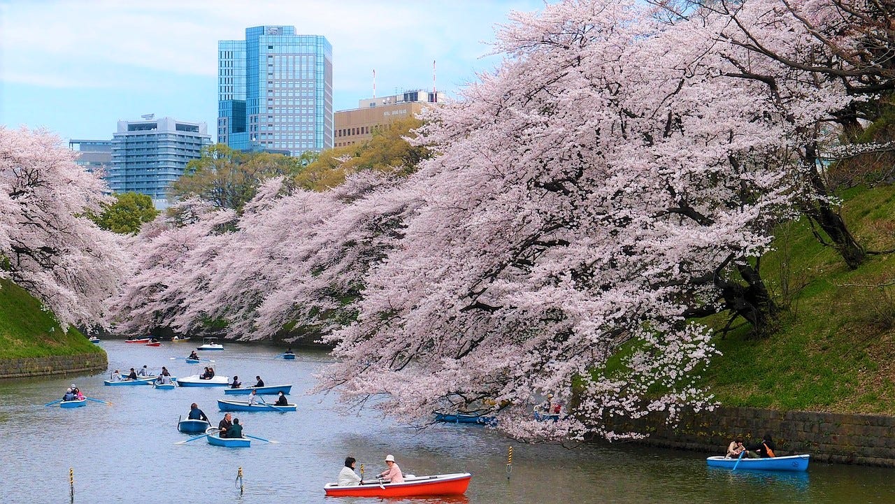 Tokyo in March Best Things to Do 2019 Japan Travel Guide JW Web