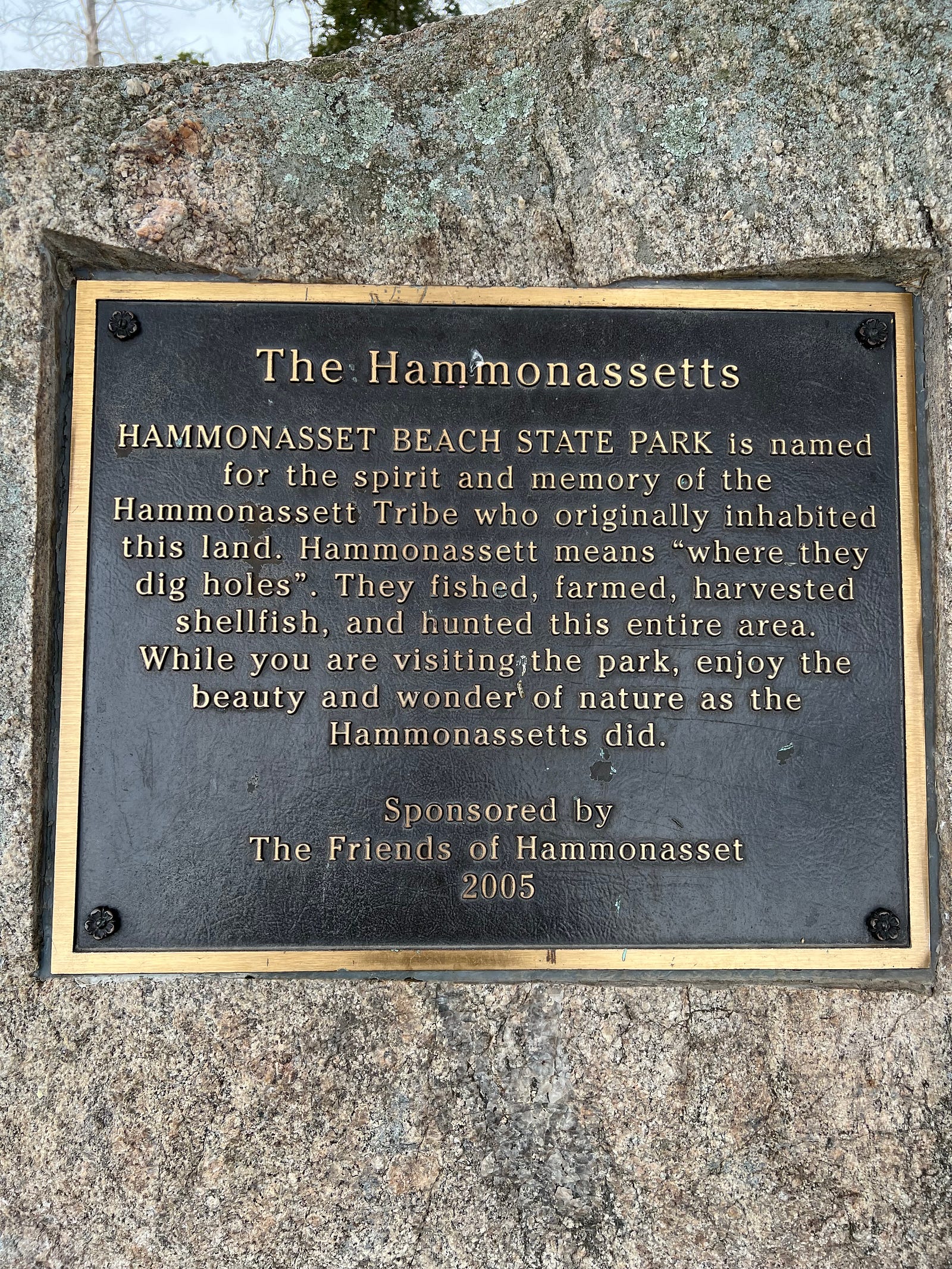 Photo of a plaque at Hammonassett Beach State Park in Madison, CT, commemorating the Hammonassett People who lived in the region before the coming of European colonists.