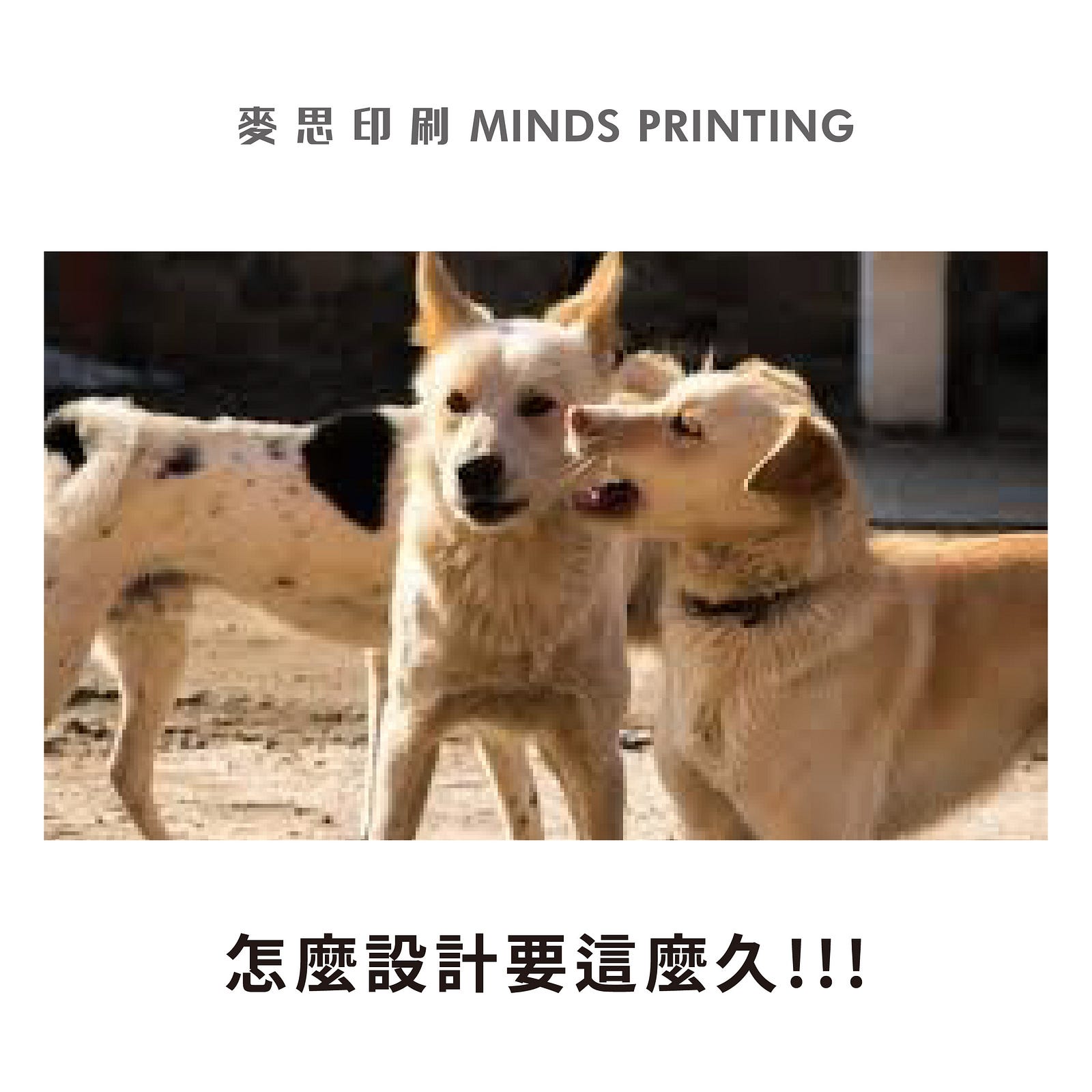 惹怒設計師