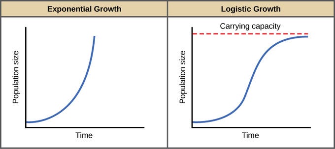 model growth statistic damage of collateral overconsumption The unacceptable