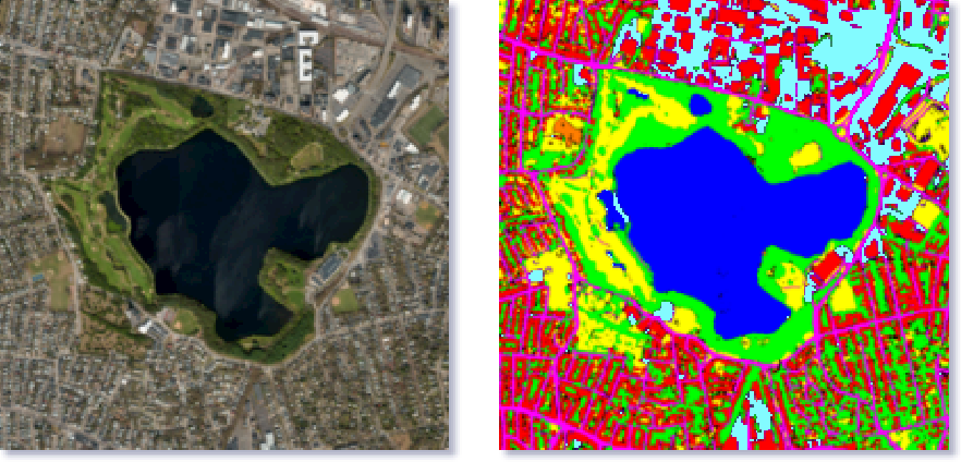 A Simple Guide To Semantic Segmentation – BeyondMinds – Medium