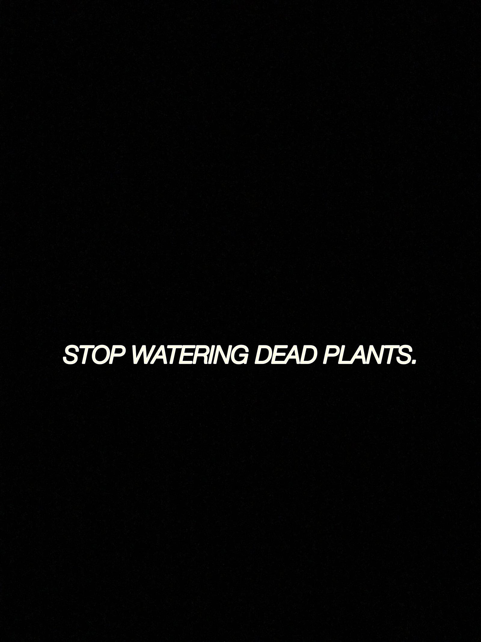 you-need-to-stop-watering-the-dead-plants-in-your-life