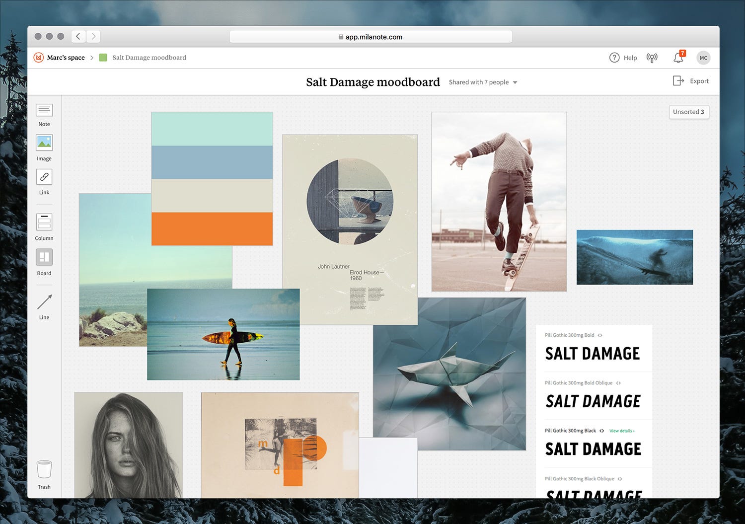 An example of a surf-themed mood board