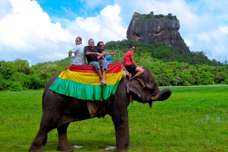 Meeting Elephants In Sri Lanka The Travel Monkey Medium