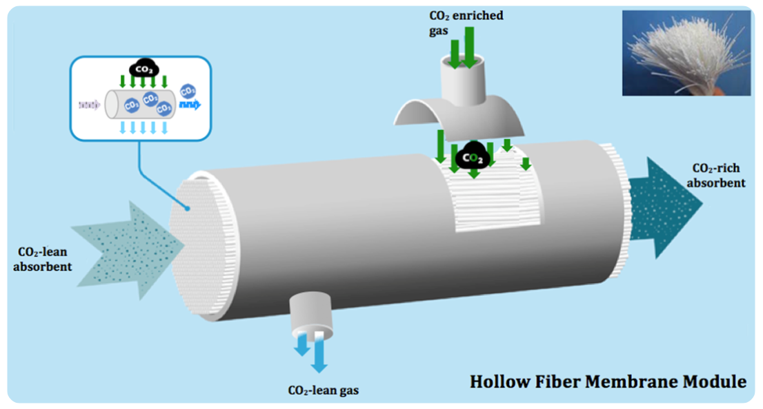 Carbonity: Turning Carbon into Capital to Solve the Climate Crisis